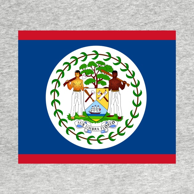 Belize flag by flag for all